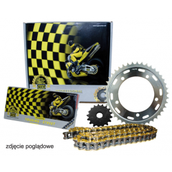 Regina, řetězová sada, Kawasaki KLE 500 91-96 (16/44/108/520ZRE) řetěz do 650CC, zlatá barva (Z-RING)