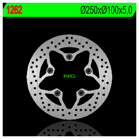 NG, zadní brzdový kotouč, Kawasaki ZRX 1100/1200 '99-'06, ZZR 1200 '02-'05 (220X100X5) (5X10,5mm)