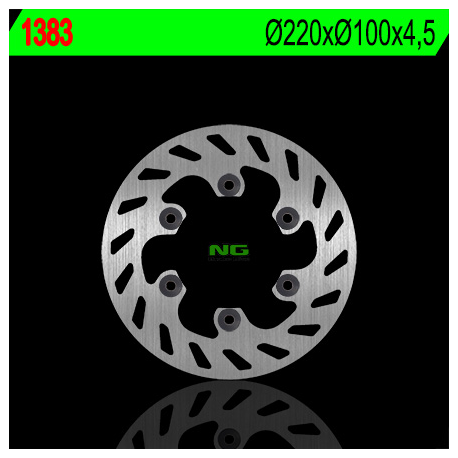 NG, zadní brzdový kotouč, Kawasaki KLX 300 R '97-'07 (220X100X4,5) (6X10,5mm)