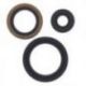 Winderosa (Vertex), sada gufer motoru, Polaris 325/330/335/400/450/500