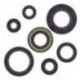 Winderosa (Vertex), sada gufer motoru, Yamaha YFS200 BLASTER 88-06
