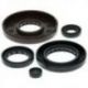 Winderosa (Vertex), sada gufer motoru, Honda TRX500FA 01-14, TRX500FGA 04-08, TRX500FPA 09-14