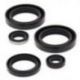 Winderosa (Vertex), sada gufer motoru, Kawasaki KVF300A PRAIRIE 4X4 99-02, KVF300B PRAIRIE 2X4 99-02