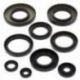 Winderosa (Vertex), sada gufer motoru, Yamaha GRIZZLY 400 07-08, KODIAK 400 00-06, GRIZZLY 450 07-14, WOL