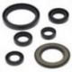 Winderosa (Vertex), sada gufer motoru, Yamaha YFM700 RAPTOR 06-18