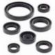 Winderosa (Vertex), sada gufer motoru, Yamaha WR450F 16-18, YZ450F 14-19, YZ450FX 16-19