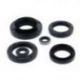 Winderosa (Vertex), sada gufer motoru, Kawasaki KVF750 BRUTE FORCE 15-19, KVF750 BRUTE FORCE EPS 15-19