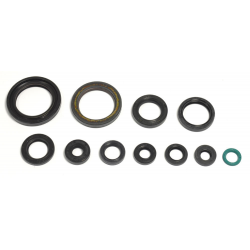 Athena, sada gufer motoru, Honda CRF 250R '04-'17, CRF 250X '04-'17