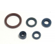 Athena, sada gufer motoru, Husqvarna TE 250 03-09, TE 310 09-10, TE 450/510 03-10, TC 250/310/450