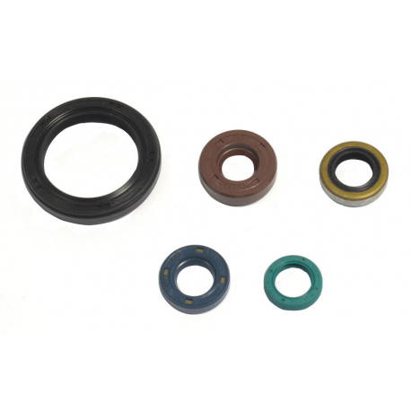 Athena, sada gufer motoru, Kawasaki KLX 250 09-12, KLX 250S 07-12