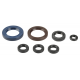 Athena, sada gufer motoru, KTM EXC 250/400/450/520/525 00-06, SXF 400/450/520/525 00-06
