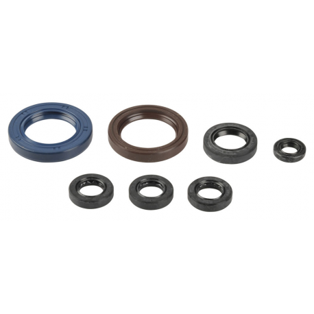 Athena, sada gufer motoru, KTM EXC 250/400/450/520/525 00-06, SXF 400/450/520/525 00-06