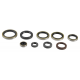 Athena, sada gufer motoru, KTM EXC 250/300 04-16, SX 250 03-16