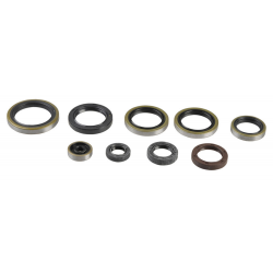 Athena, sada gufer motoru, KTM EXC 250/300 04-16, SX 250 03-16