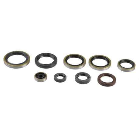 Athena, sada gufer motoru, KTM EXC 250/300 04-16, SX 250 03-16