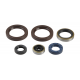 Athena, sada gufer motoru, KTM SX 125/144/150/200 98-15, EXC 125/200 98-16