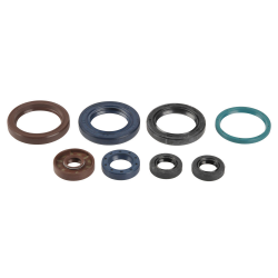 Athena, sada gufer motoru, KTM SXF 250 06-12, EXCF 250 05-13