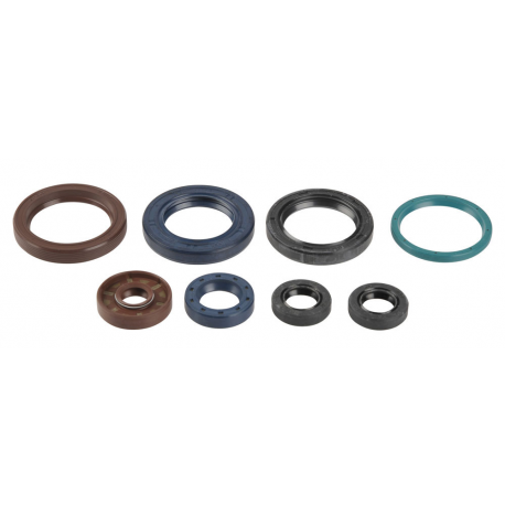 Athena, sada gufer motoru, KTM SXF 250 06-12, EXCF 250 05-13