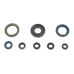 Athena, sada gufer motoru, KTM GS 250 84-89