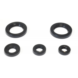 Athena, sada gufer motoru, KTM DUKE 125 '11-16, DUKE 200 '12-16, RC 200 '15-16