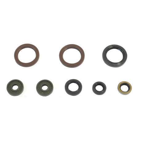 Athena, sada gufer motoru, KTM SXF 450 13, EXCF 450/500 12-13