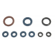 Athena, sada gufer motoru, KTM SXF 250 13-15, EXCF 250 14