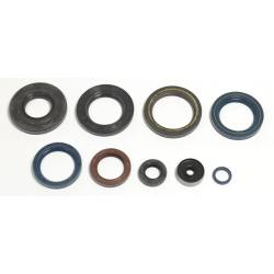 Athena, sada gufer motoru, KTM SX250`90-02, EXC250//300`90-03, EXC360/380`95-98