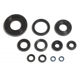 Athena, sada gufer motoru, Yamaha YZ 250 01-21 (2T)