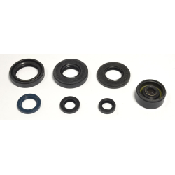 Athena, sada gufer motoru, Yamaha YZ 80 93-01