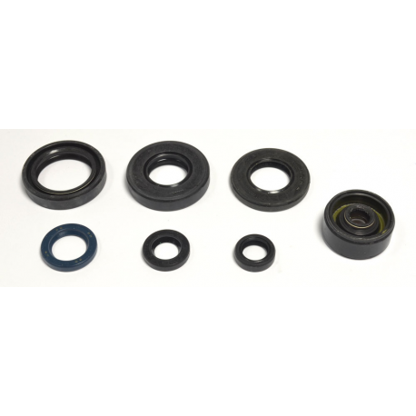 Athena, sada gufer motoru, Yamaha YZ 80 93-01