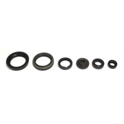 Athena, sada gufer motoru, Suzuki RMZ 450 05-07