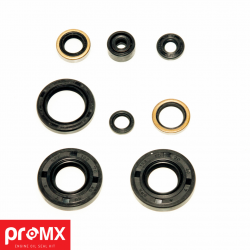 ProMX, sada gufer motoru, Kawasaki KX 65 (00-10) (8ks.)