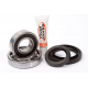 Pivot Works, ložiska zadního kola, Yamaha YFM 350 GRYZLLY 07-10, KODIAK YFM 400 03-04 BIG BEAR