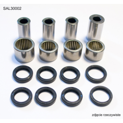 Bearing Worx, sada ložisek přepákování zadní vidlice, Honda TRX 450ER 06-14, TRX 450R 04-09 (27-1121)