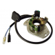 Electrex, stator alternátoru, Honda CR 125 (90-96), CR 250 (89-92)