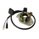 Electrex, stator alternátoru, Honda CR 250 '93-'96 (KOMPLET)