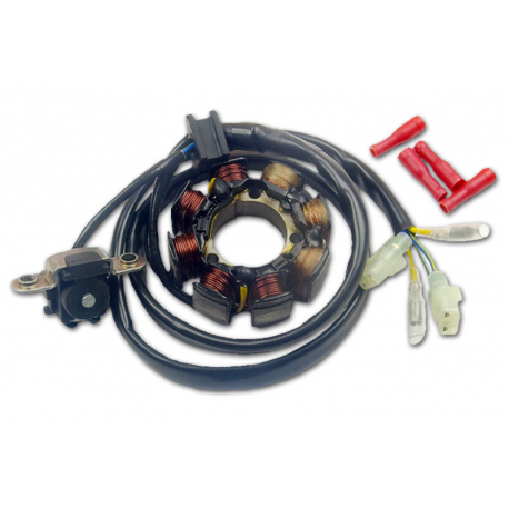 Electrex, stator alternátoru, Honda CRF 250 (04-09), CRF 450 (02-09)