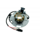 Electrex, stator alternátoru, Suzuki RM 125 (89-93), RM 250 (86-93)