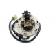 Electrex, stator alternátoru, Yamaha YZ 125 '96-'99