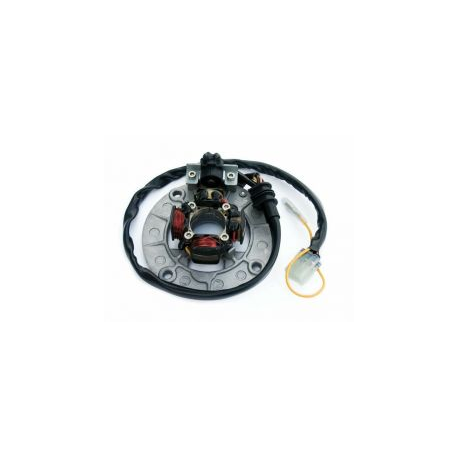 Electrex, stator alternátoru, se světly, Yamaha YZF250(04-),YZF400/426/450(98-05)(KOMPLET)