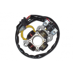 Electrex, stator alternátoru, se světly, Yamaha YZF 450 (06-09)