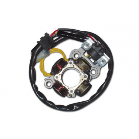 Electrex, stator alternátoru, se světly, Yamaha YZF 450 (06-09)