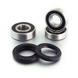 Bearing Worx, sada ložisek a gufer zadního kola, Suzuki DRZ 400 E/S/SM 00-09 (25-1117) WBK70008