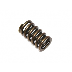 Nachman, pružina sacího ventilu, Kawasaki KXF 450 '06-'17, KFX 450R '08-14, KLX 450R '08-17 (PSYCHIC) (MX-09528IS)
