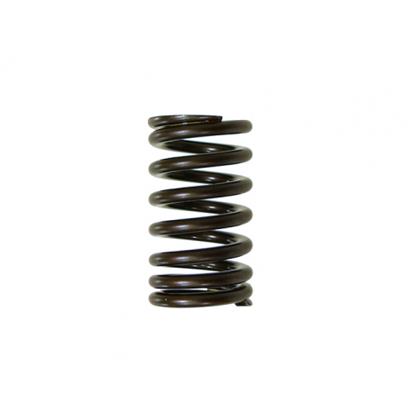 Nachman, pružina sacího ventilu, Yamaha YZF 450 '10-'16 (PSYCHIC) (MX-09541IS)