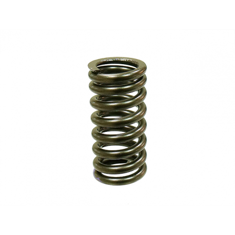 Nachman, pružina sacího ventilu, Honda CRF 150R '07-'15 (PSYCHIC) (MX-09545IS)