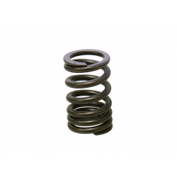 Nachman, pružina sacího ventilu, Kawasaki KXF 250 07-08 (PSYCHIC) (MX-09552IS)