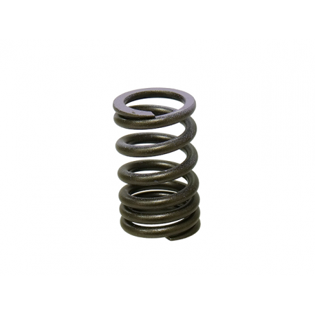 Nachman, pružina sacího ventilu, Kawasaki KXF 250 07-08 (PSYCHIC) (MX-09552IS)