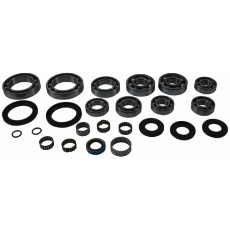 All Balls, opravná sada zadního diferenciálu, Polaris SPORTSMAN 500 4X4 RSE '00