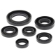 Winderosa (Vertex), sada gufer motoru, Honda TRX300 EX 93-08, TRX300 X 09